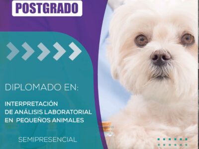 Diplomado en Interpretación de Análisis Laboratorial en Pequeños Animales