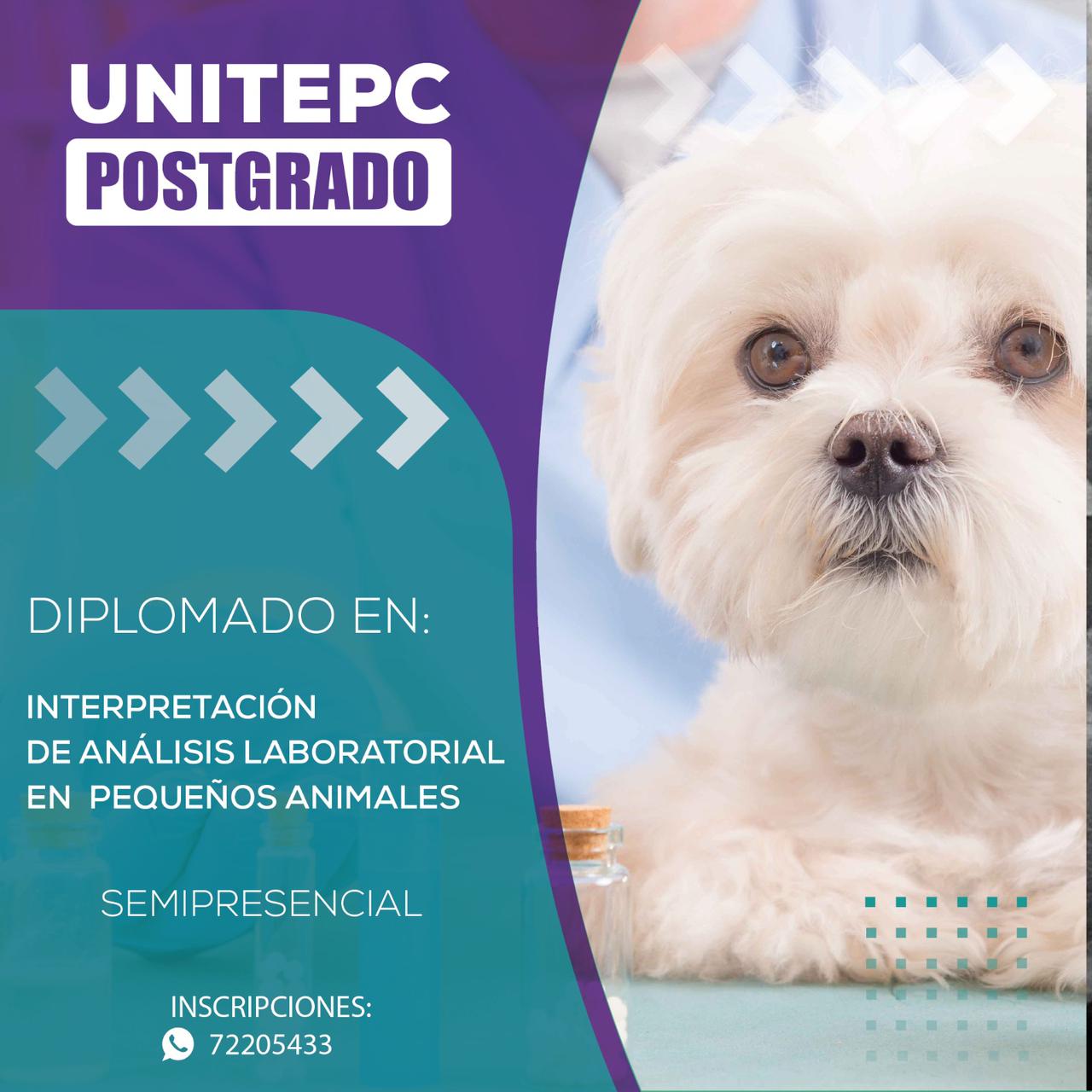 DiplomadoVeterinariaAnimalesPequenos