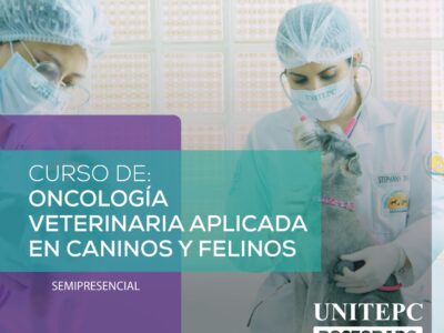 Curso de Oncología Veterinaria Aplicada en Caninos y Felinos