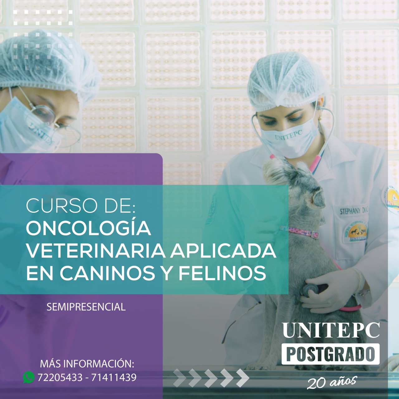 oncologia-veterinaria